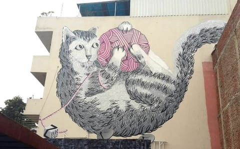 Delhi Street Art Tour On Private Basis
