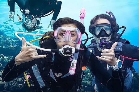 Scuba Diving Adventure in Alanya: Explore Reefs & Underwater Caves