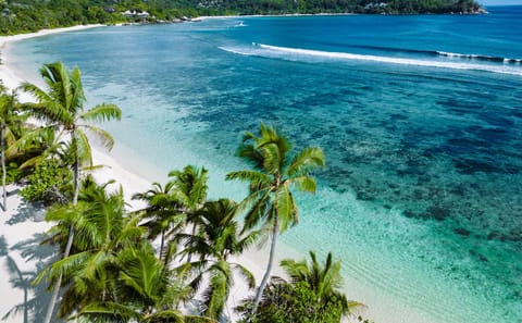 Dolphin Watching and Snorkeling Tour in Kizimkazi, Zanzibar