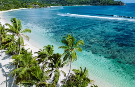Dolphin Watching and Snorkeling Tour in Kizimkazi, Zanzibar