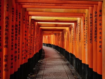 Kyoto Early Morning Tour with Korean Speaking Guide