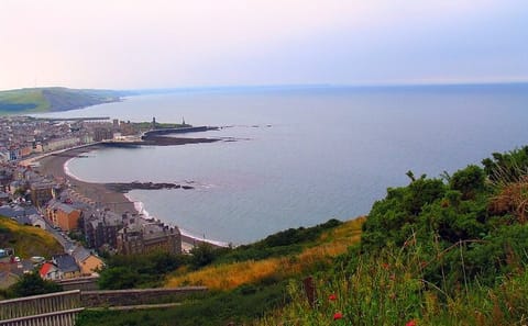 Cultural Day Tour of Aberystwyth and Ceredigion from Cardiff