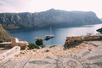 Camellia island, Turkey