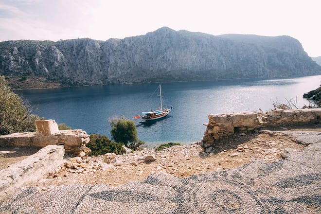 Camellia island, Turkey