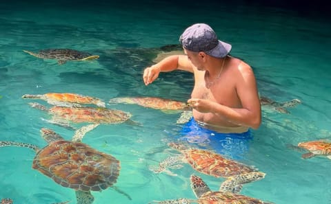 Zanzibar: Explore the Magic Of Salaam Cave