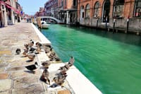 Murano Glass: Local Workshop & Walking Tour 10
