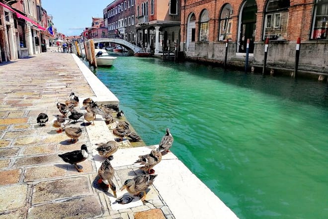 Glass Lampwork Workshop and Walking Tour in Murano 10