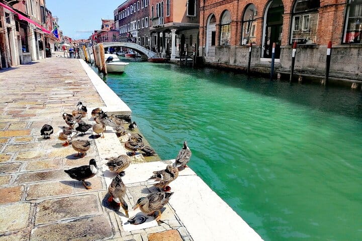 Murano Glass: Local Workshop & Walking Tour 10