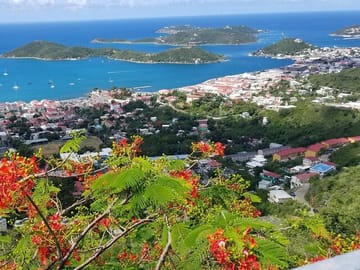 Scenic Skyline Drive and Beach Tour in Charlotte Amalie