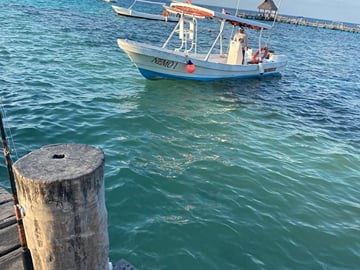 Puerto Morelos Reef Snorkeling Experience
