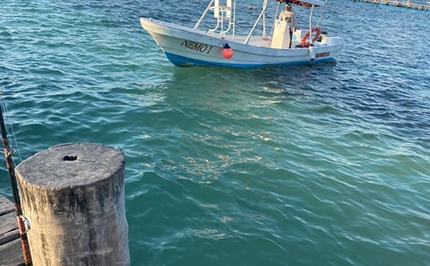 Puerto Morelos Reef Snorkeling Experience