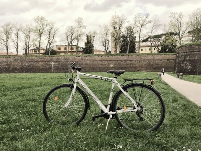 LUCCA: City and Wine E-bike Tour