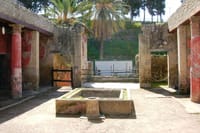 Guided Tour of Pompeii and Herculaneum with Lunch and Ticket  10