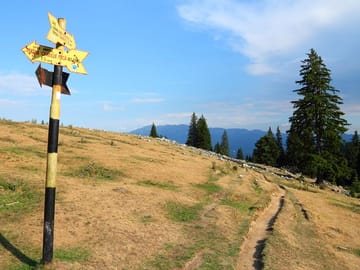 Small-Group Active Trekking Day Trip to Piatra Craiului National Park from Brasov