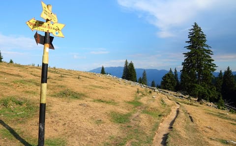 Private Hiking Tour in Piatra Craiului National Park from Brașov