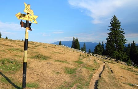Private Hiking Tour in Piatra Craiului National Park from Brașov