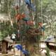 Bird Park
