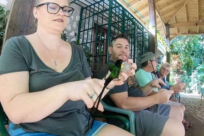 Rockland's Bird Sanctuary Tour from Montego Bay/ Falmouth 4