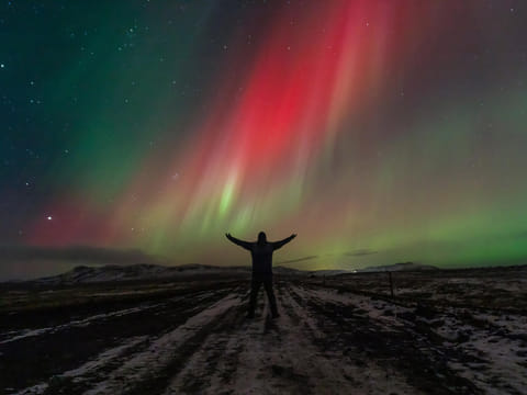 Northern Lights in Mini Bus with Local Pastries, Hot Chocolate, and Photos