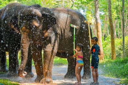 Phuket: Beach Walk with Elephants, Rain & Care