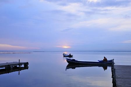 From Valencia: Albufera Boat Ride & Food (Paella) Included