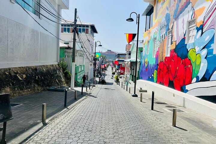 Family ATV Tour & Monkey Private Van