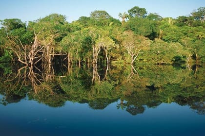 Amazon Dolphin And Meeting Of The Waters With Native Village Tour