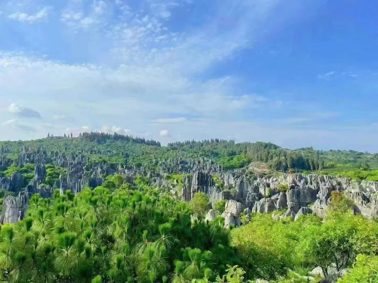 Overlooking the Stone Forest 