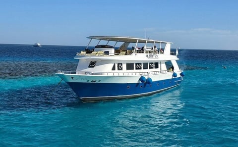 Hula-Hula Snorkeling in Hurghada
