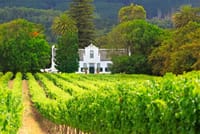 Full Day Cape Winelands 1