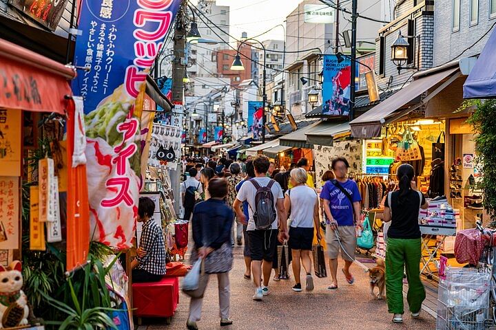 Guided Walking Exploration of Historic Tokyo