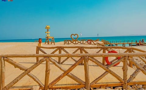 Private Speedboat Snorkeling Tour to Magawish Island from Hurghada