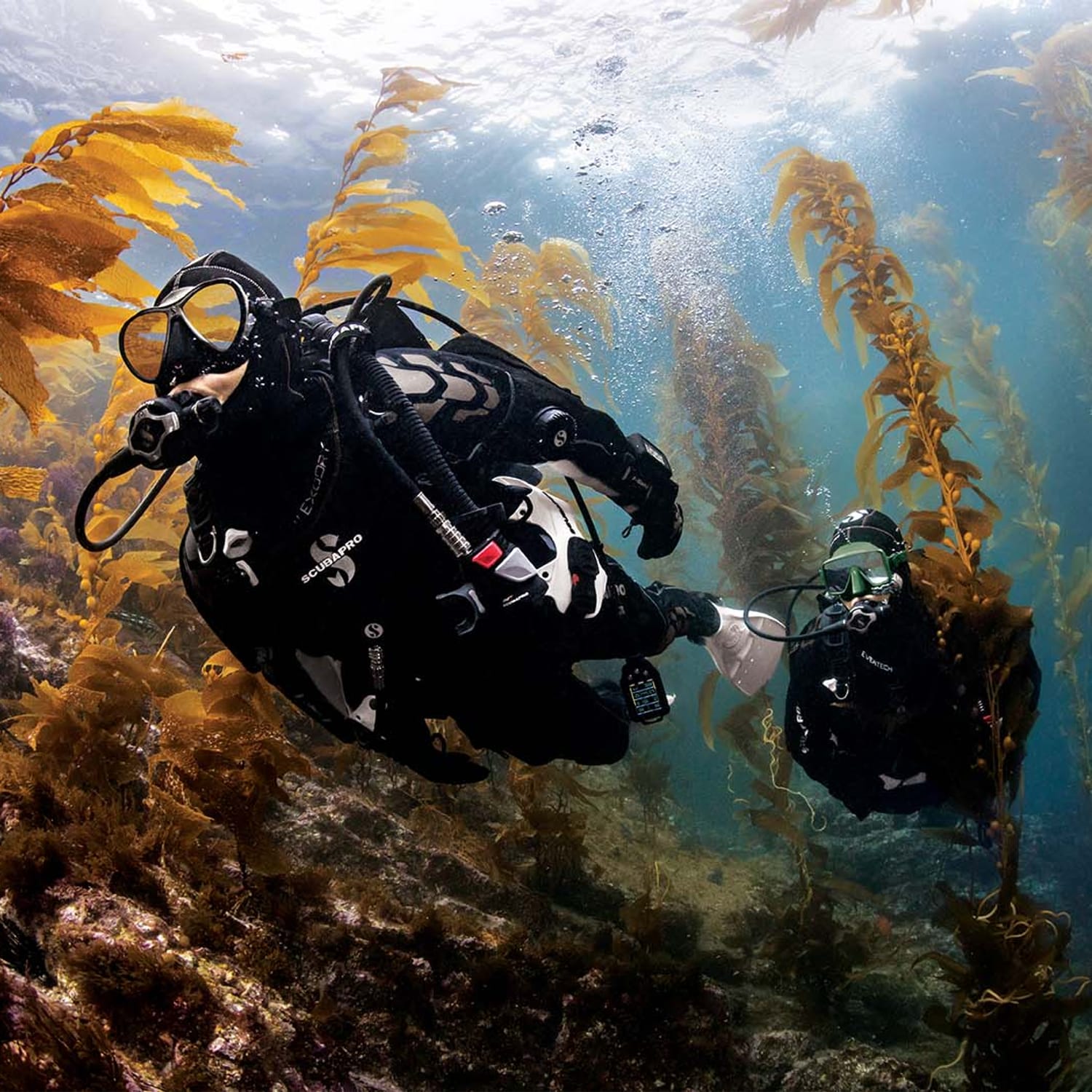 Scuba Diving and water activities in Inishmore Ireland