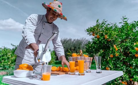 Ourika Valley Day Trip from Marrakech with Berber Culture Experience