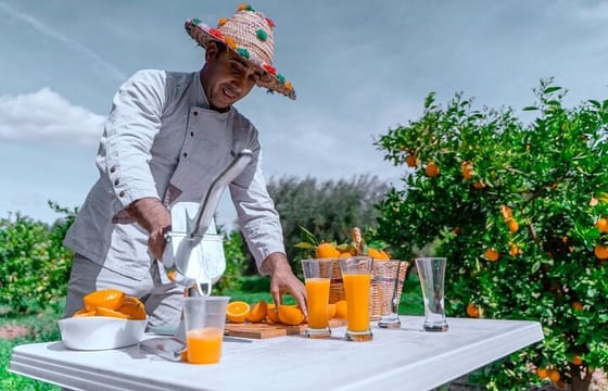 Marrakech: Ourika Valley & Waterfalls Day Trip and Berber Culture