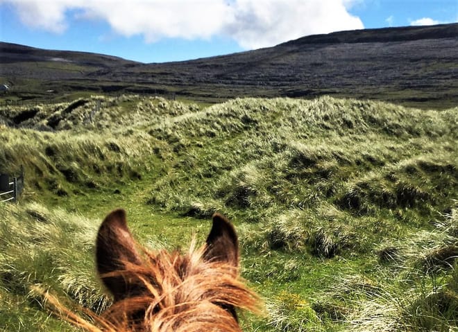 Horse riding the mountain trail. Clare. Guided, 2 hours 4