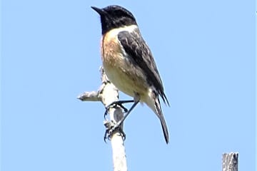 Explore the Hidden Beauty of Richtis Gorge on a Private Tour