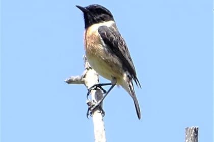 Explore the Hidden Beauty of Richtis Gorge on a Private Tour