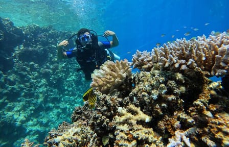 Scuba Diving Introduction at Red Sea Diving College, Egypt