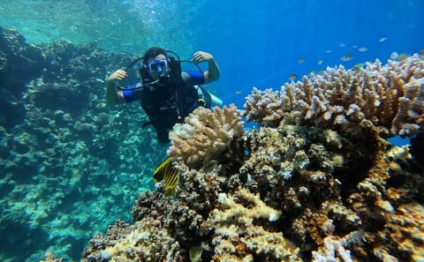 Scuba Diving Introduction at Red Sea Diving College, Egypt