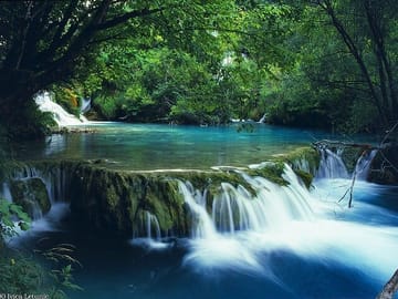 From Hue City : Bach Ma National Park- Private Hiking Day Trip