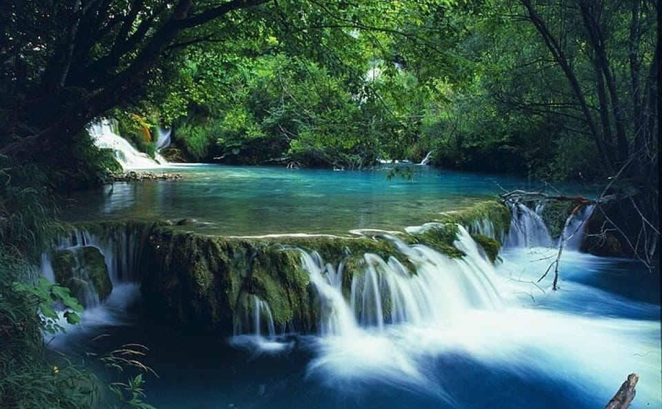 From Hue City: Private Hiking Day Trip at Bach Ma National Park