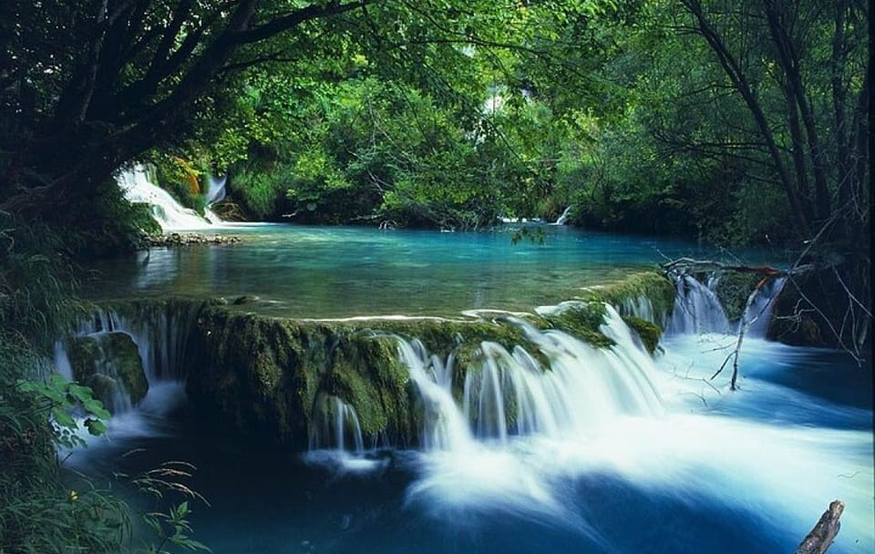 From Hue City: Private Hiking Day Trip at Bach Ma National Park