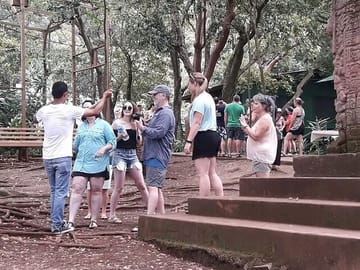 Wildlife Encounter and Macaw Market Tour in French Harbour