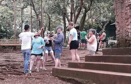 Manawakie Wildlife sanctuary and Macaw Market