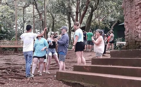 Wildlife Encounter and Macaw Market Tour in French Harbour