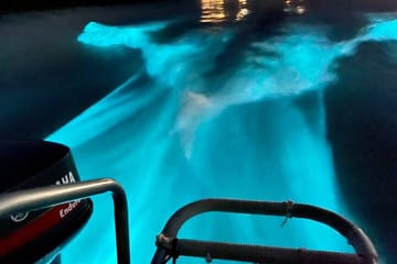 Bioluminescence Lagoon Tour from Montego Bay with Pick Up
