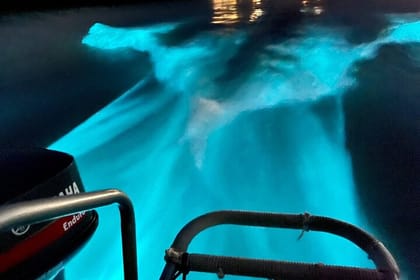 Bioluminescence Lagoon Tour from Montego Bay with Pick Up