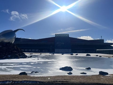 Reykjavik Cruise Ports and Hotels to Keflavik Airport Transfer, photo 5