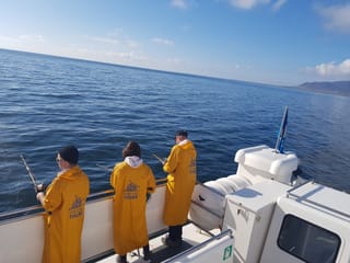 Sea Angling, photo 13